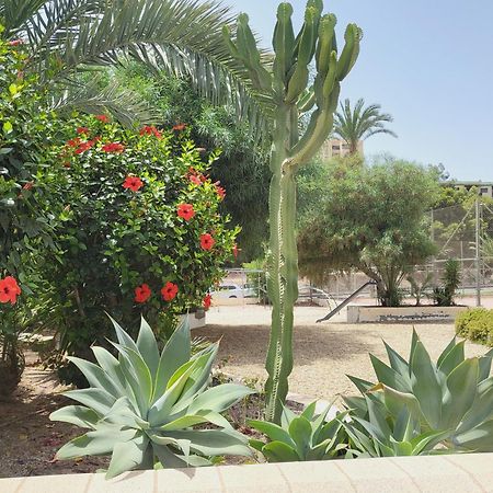 Loft Soul & Sea Aguadulce (Almeria) Exterior foto
