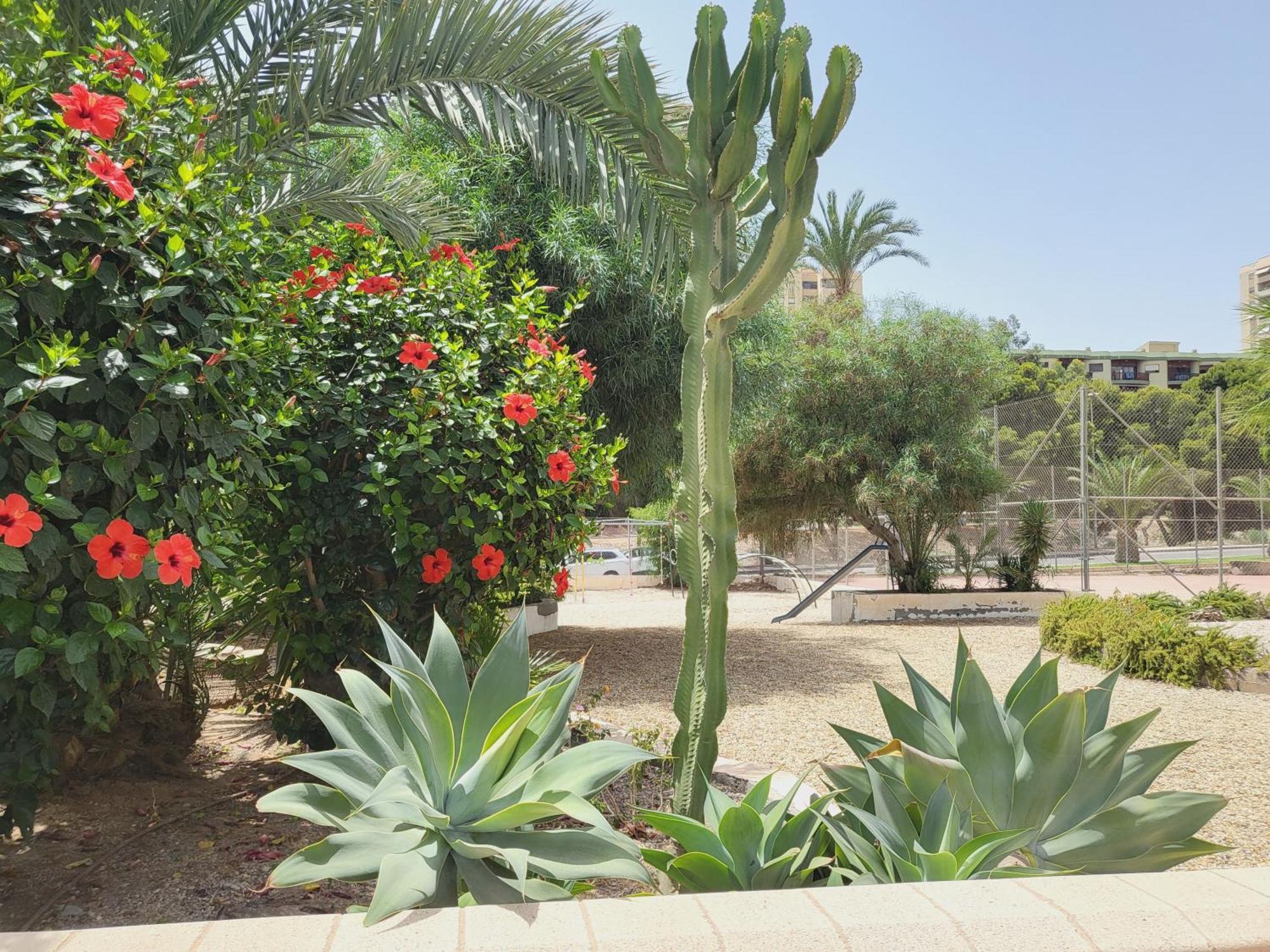 Loft Soul & Sea Aguadulce (Almeria) Exterior foto